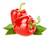 ORGANIC SELECTION